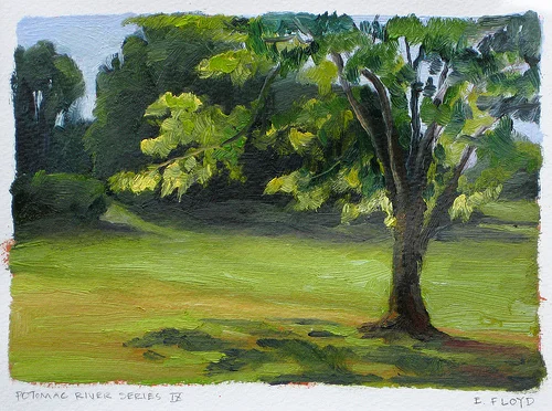 Plein Air Painting: Potomac River Series
