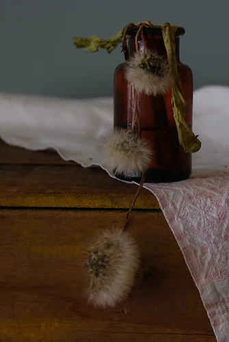 Back in the Studio...