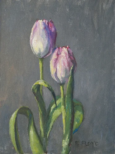 Two Tulips {best buddies}