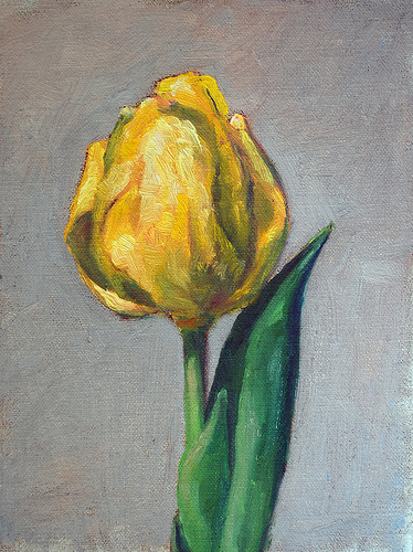 Tulip {a daily painting}