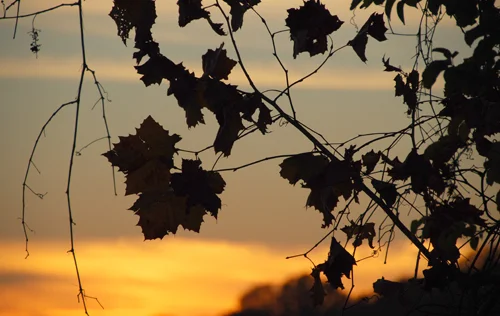 Changes are afoot...