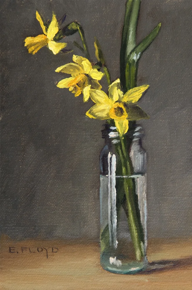 Tete-e-Tete Daffodils, 6 x 4 inches