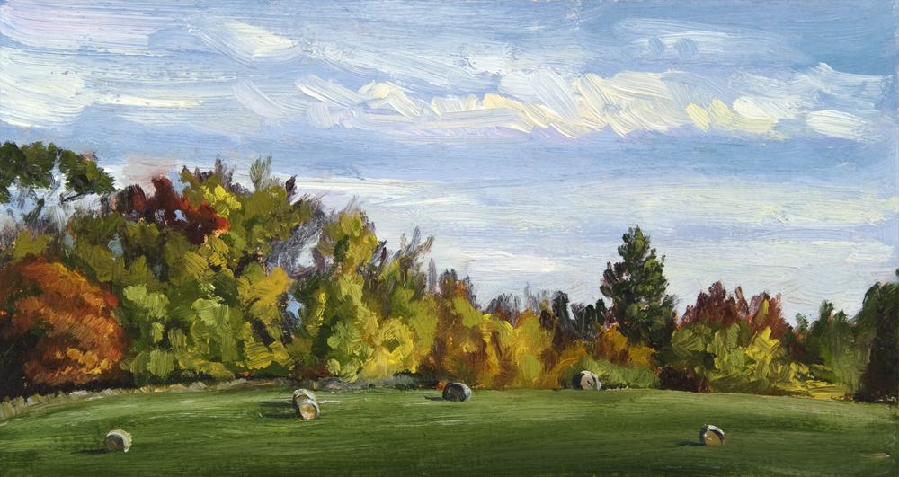 Loudoun County Hay Fields, 5 x 9 inches