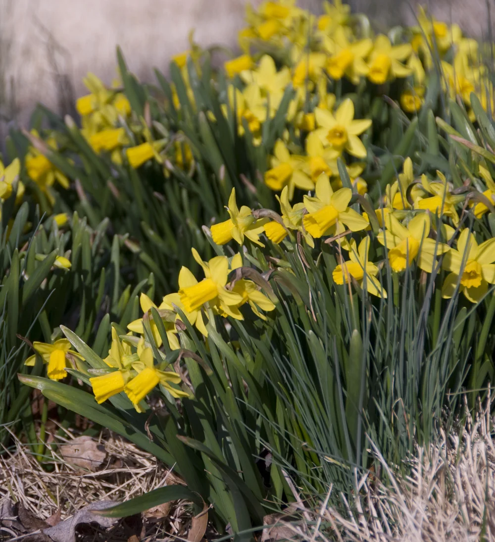 Slowing down for a bit...