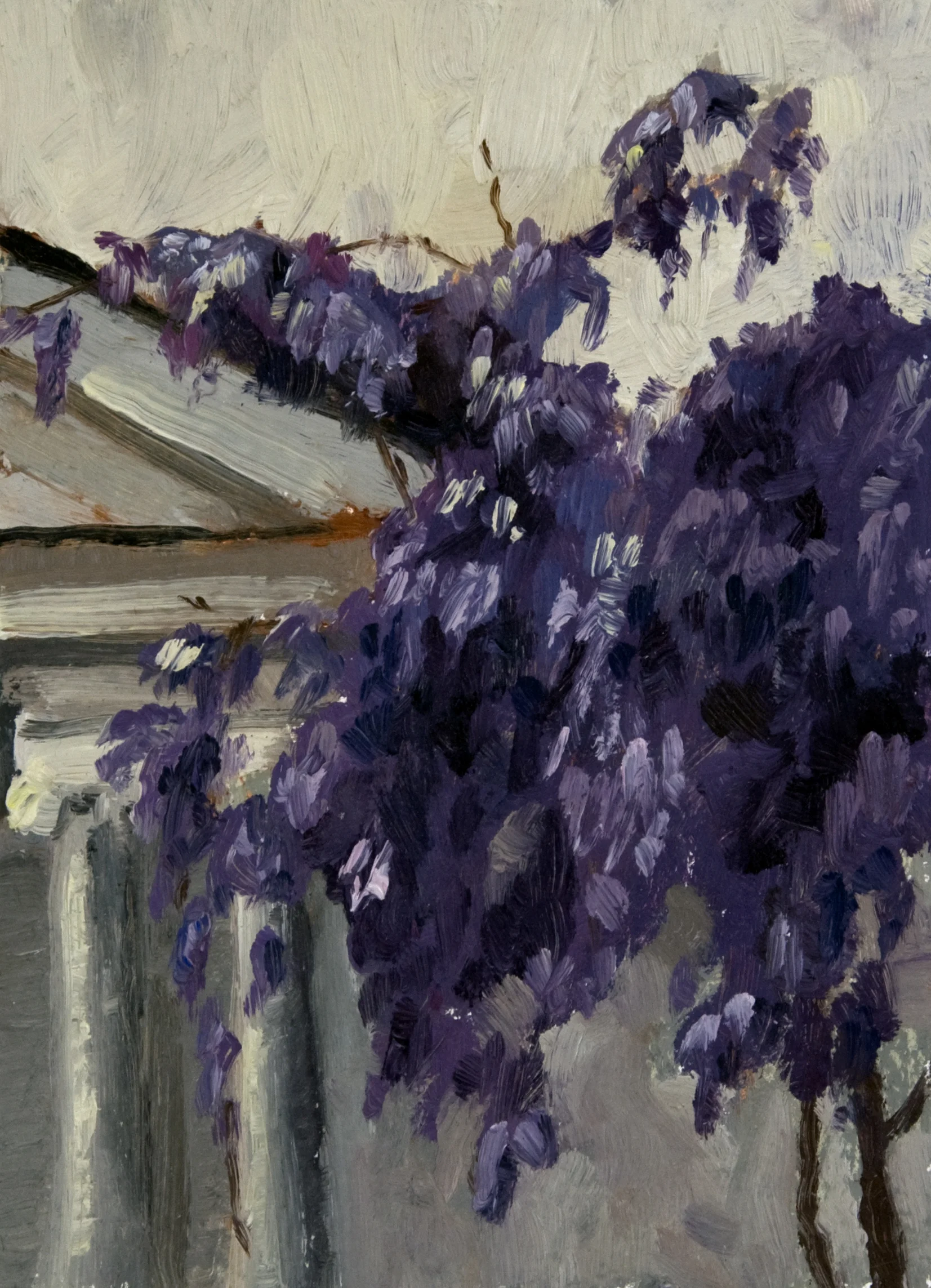 Wisteria, 7" x 5"