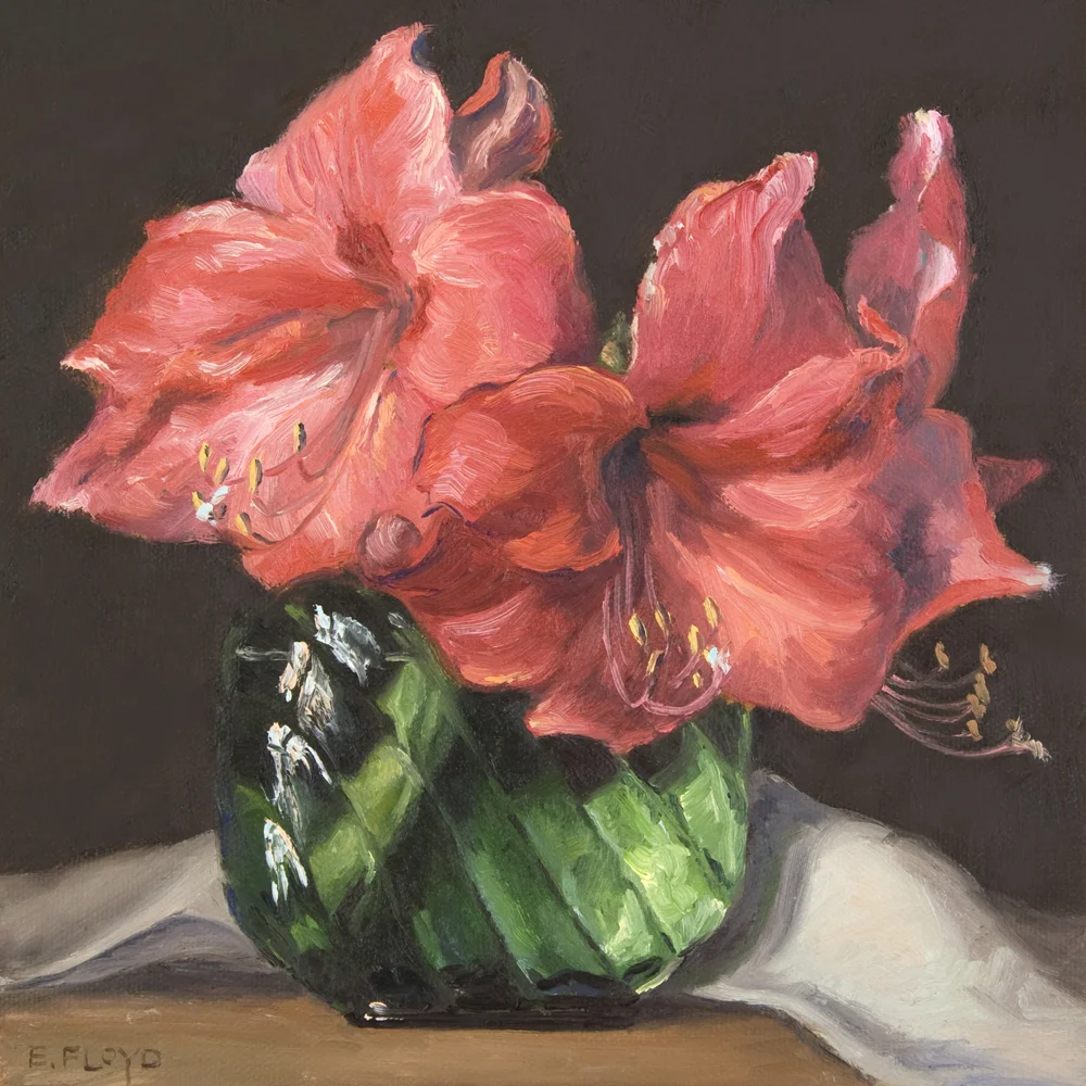 My Beautiful Amaryllis