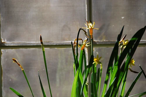 Other random images from around the house this month...