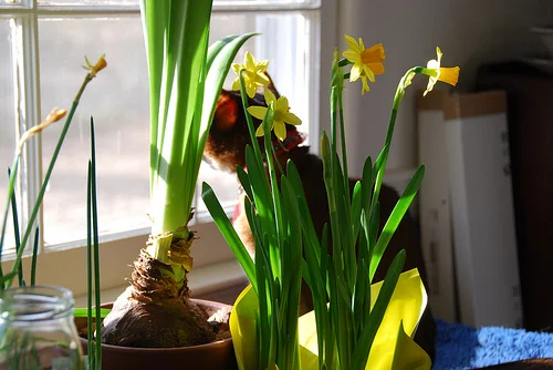 Phew! January is going by fast... {part 2}