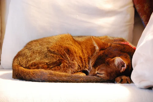 Phew! January is going by fast... {part 1}