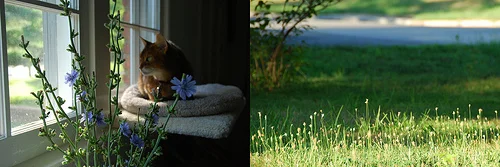 7/19/2011 & Taking a break. (for a bit, maybe)