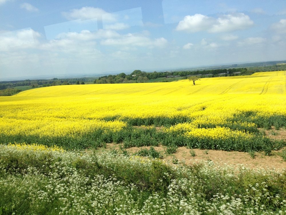 Visiting Whitby, UK {part 3 - the surroundings}
