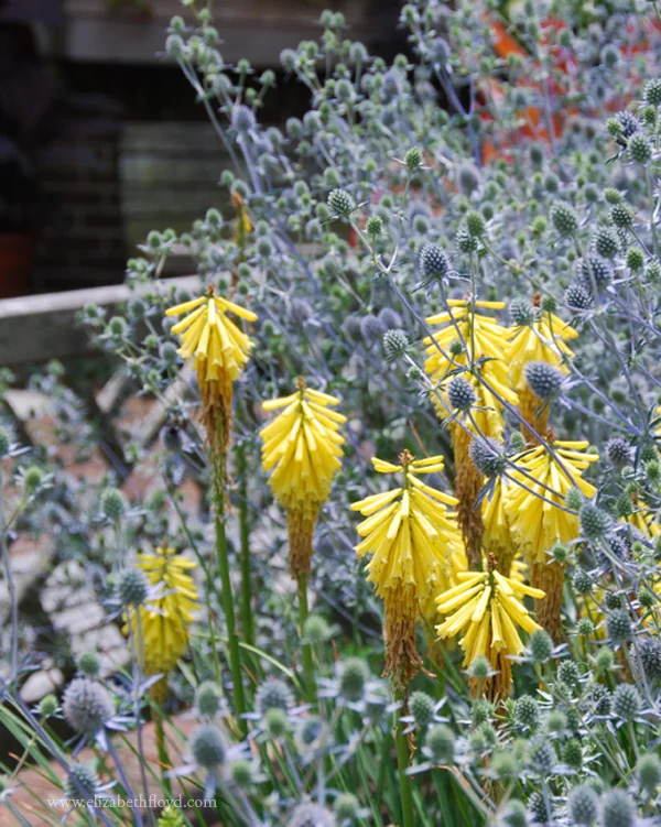 Exploring Near Home...