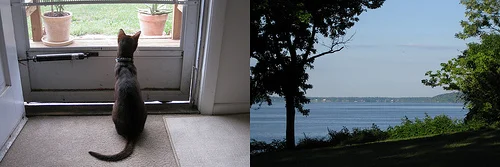 6/14/2011 & 6/15/2011