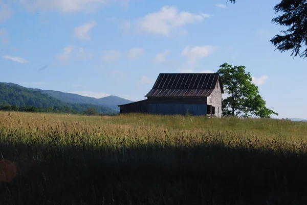 Special moments and bits of beauty...