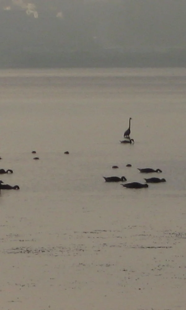 The Sultry Days of Summer