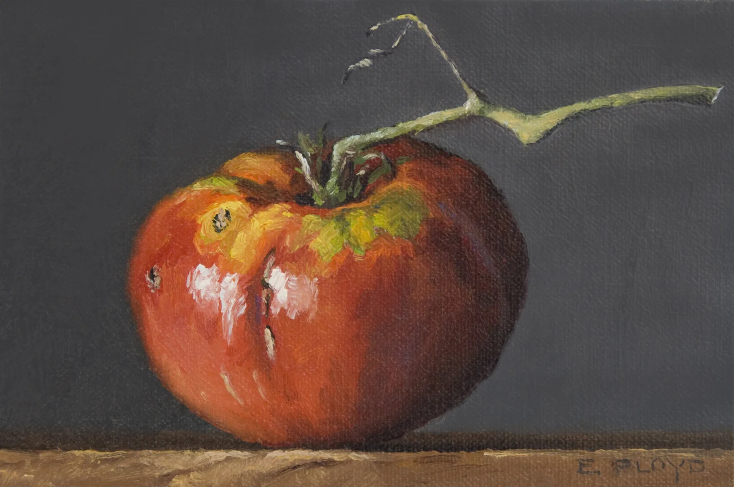 Heirloom Tomatoes #6, #7, and #8