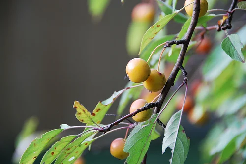 Winding down the weekend...