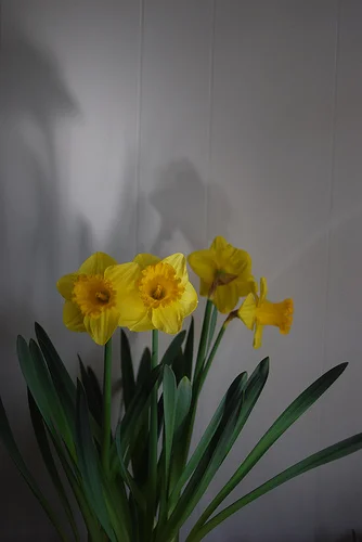 from last week, the weekend, and today