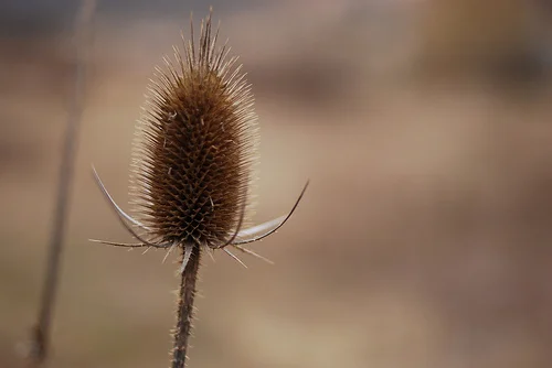 Monterey, VA {part 4}