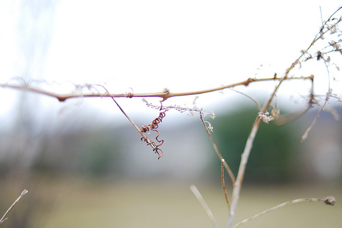 Monterey, VA {Part 1}