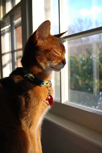 Morning sun in her face...