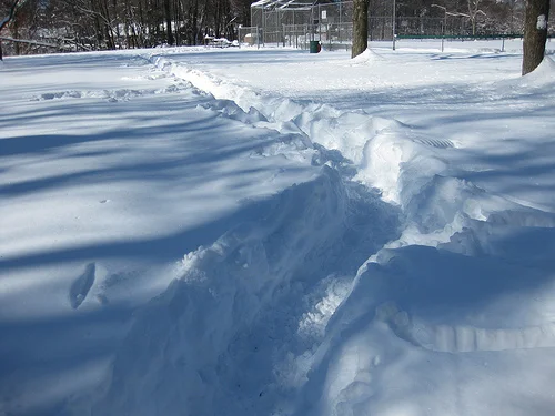 More Snow Pictures...