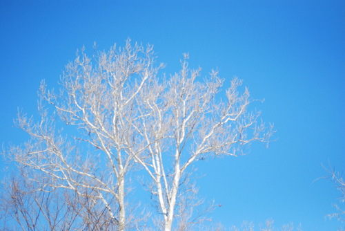 Snow {photos from last weekend and this weekend}