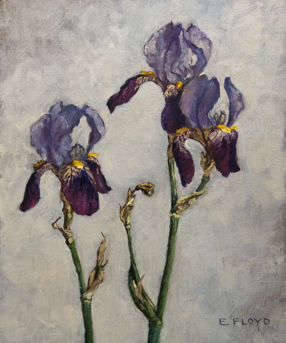 Irises, 12 x 10 inches 