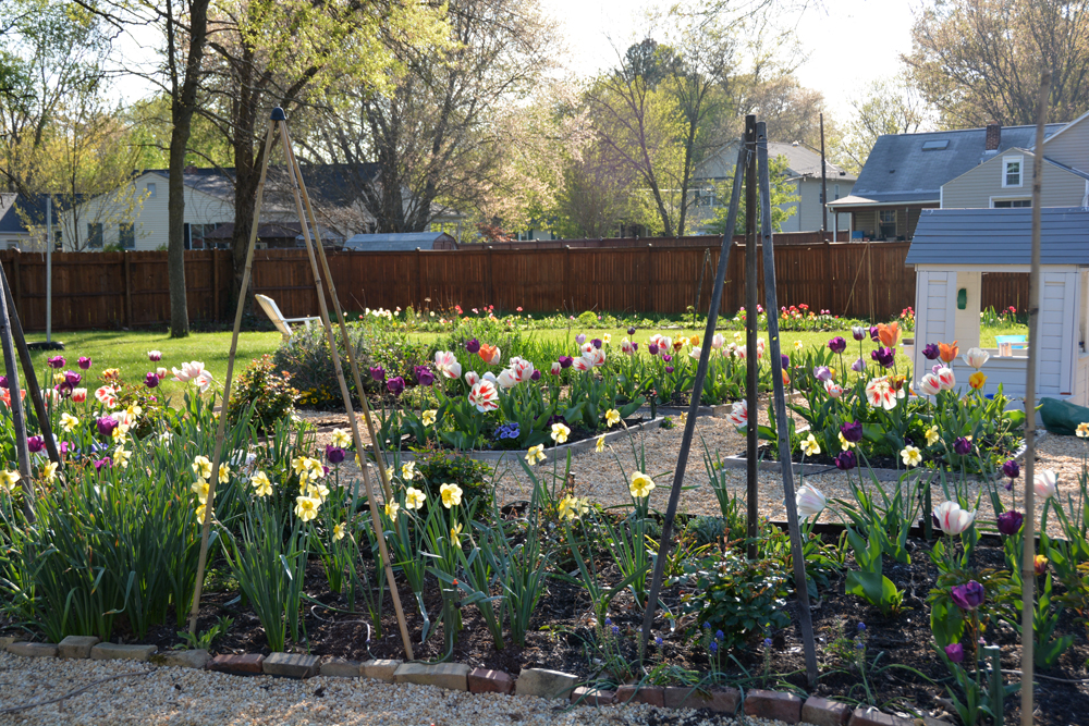 201604-my-garden-01.jpg