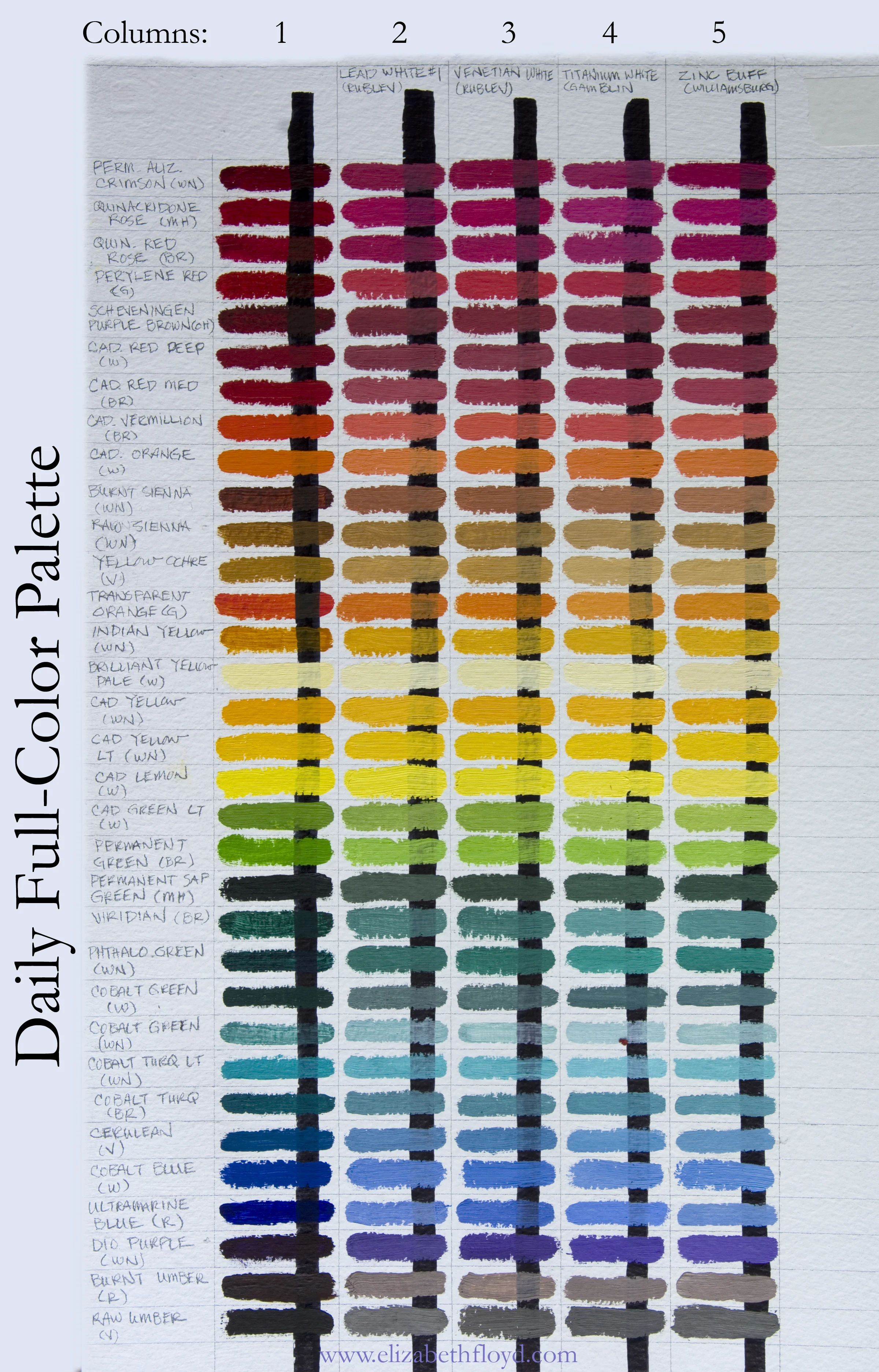 MCPS-Daily-Full-color-Palette-1.jpg