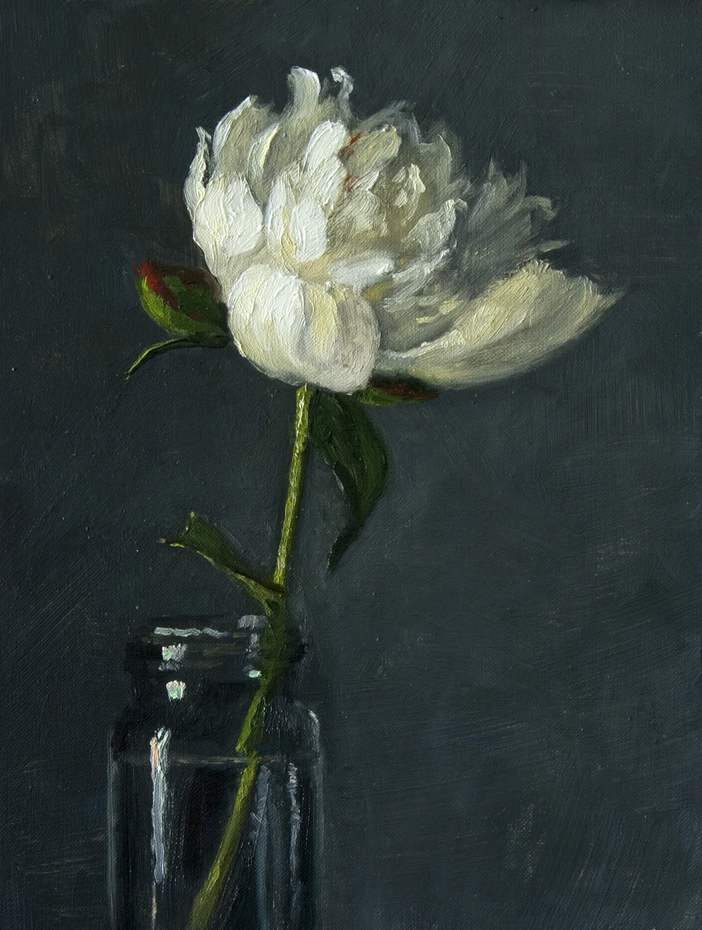 20170509-007-peonies-festiva-maxima-8x6.jpg