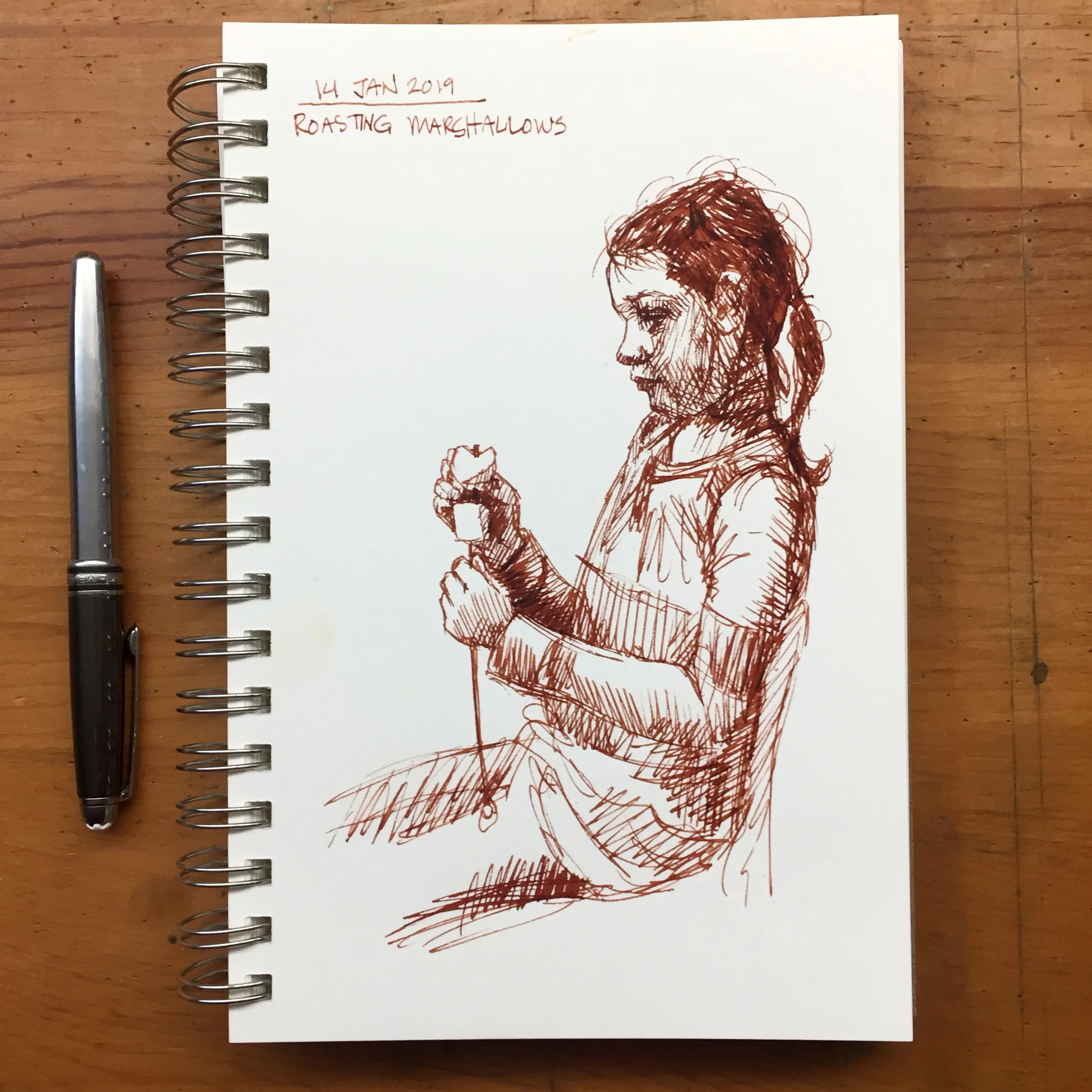 Day 14: Roasting marshmallows at the fireplace