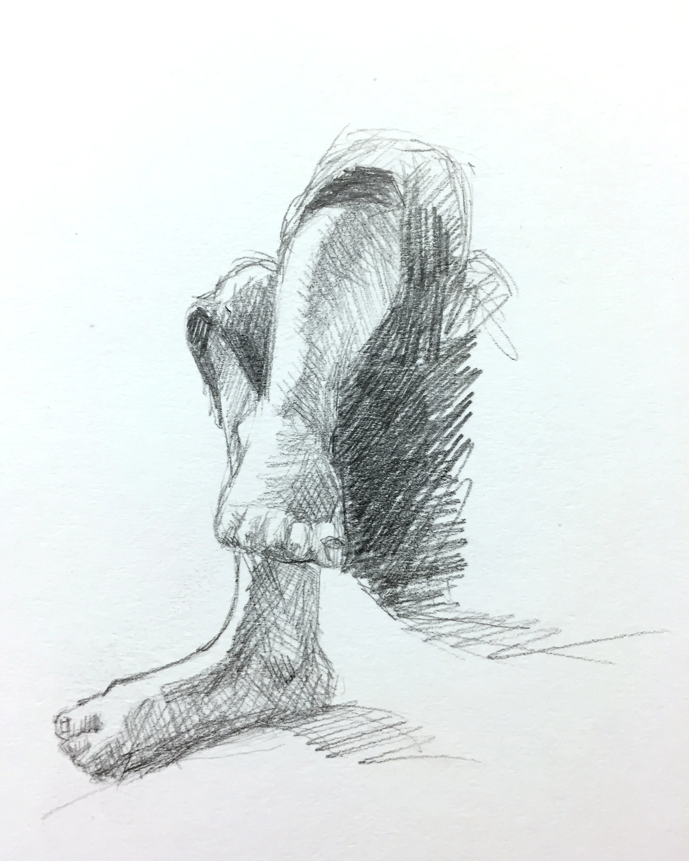 Day 26