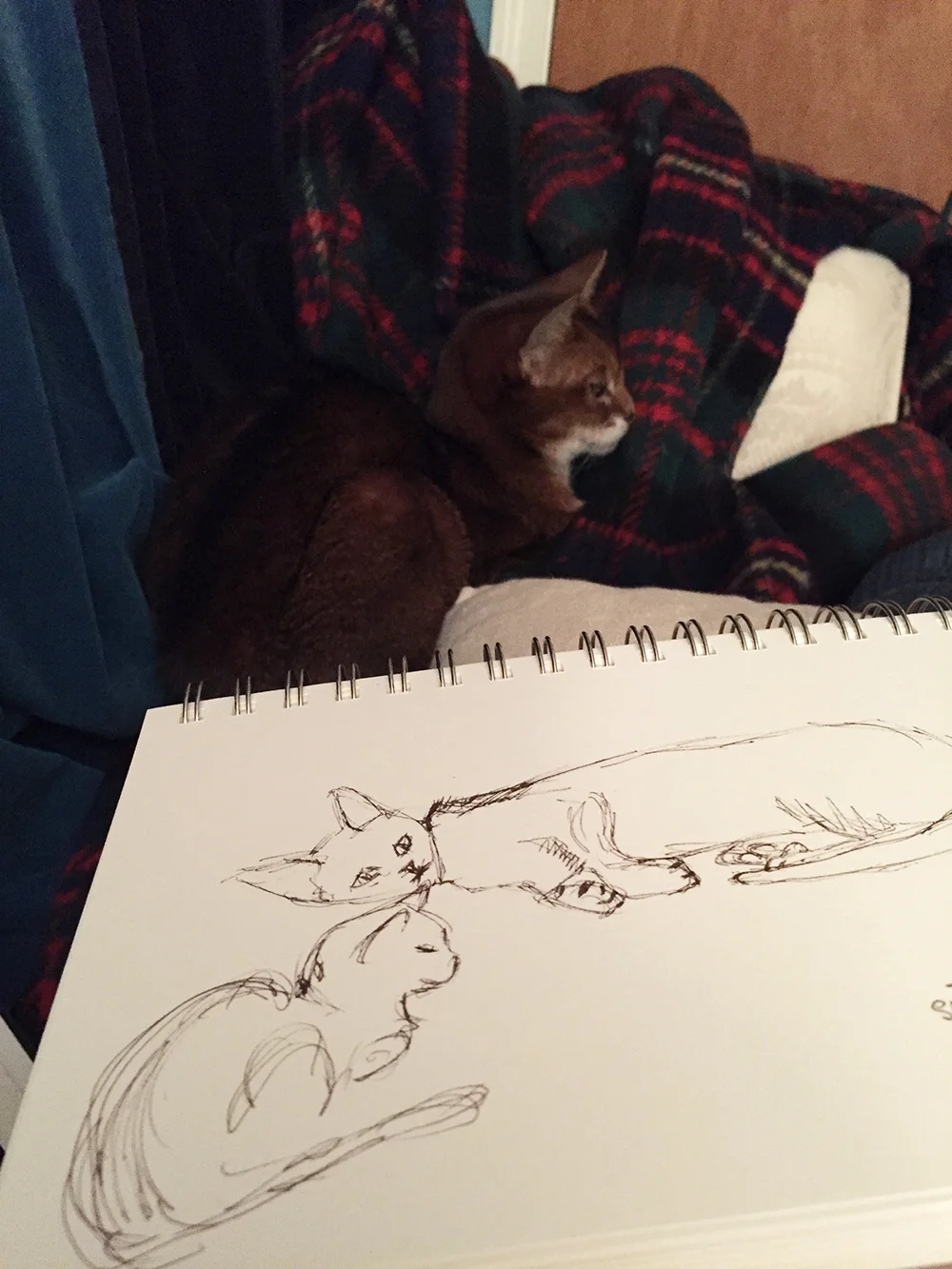 Day 24