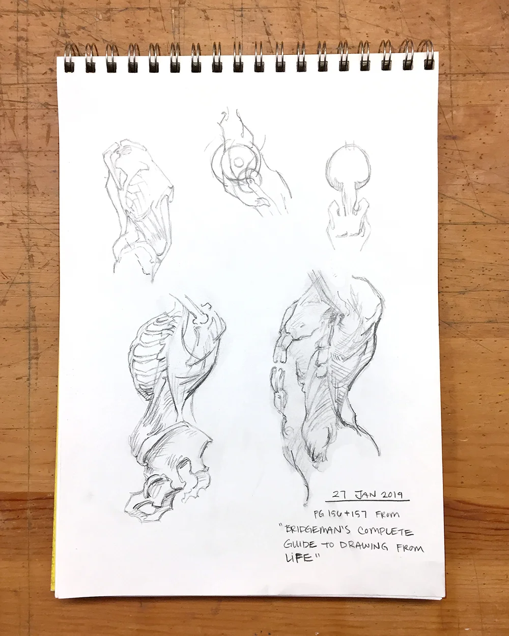 Day 27