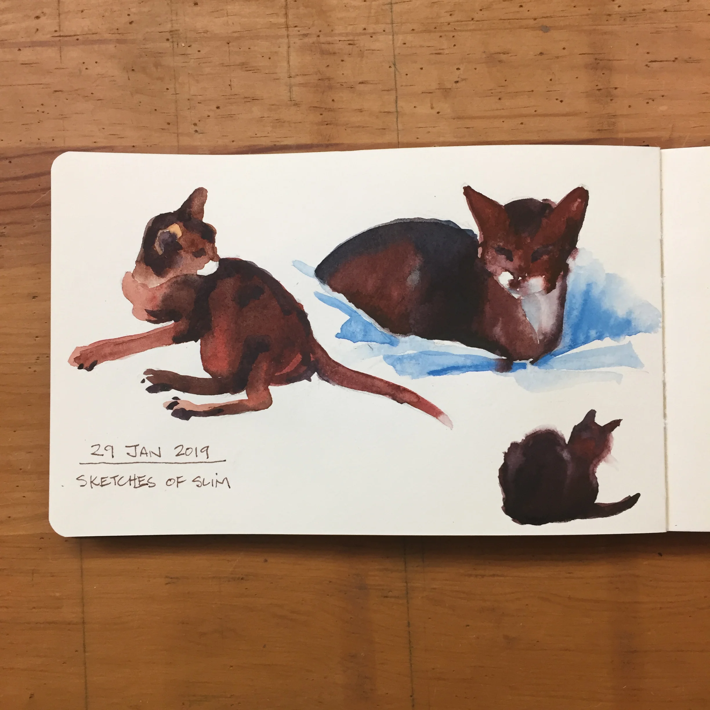 Day 29
