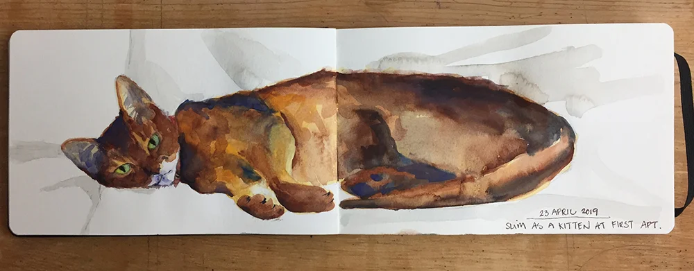 Day 113: Watercolor of our Abyssinian cat, Slim