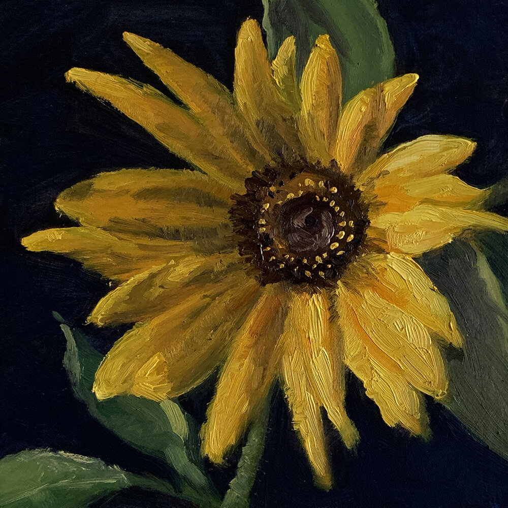 20190825-022 sunflower 6x6.jpg