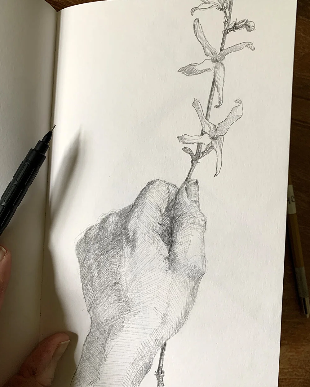 100 Hand Drawing Project Elizabeth Floyd