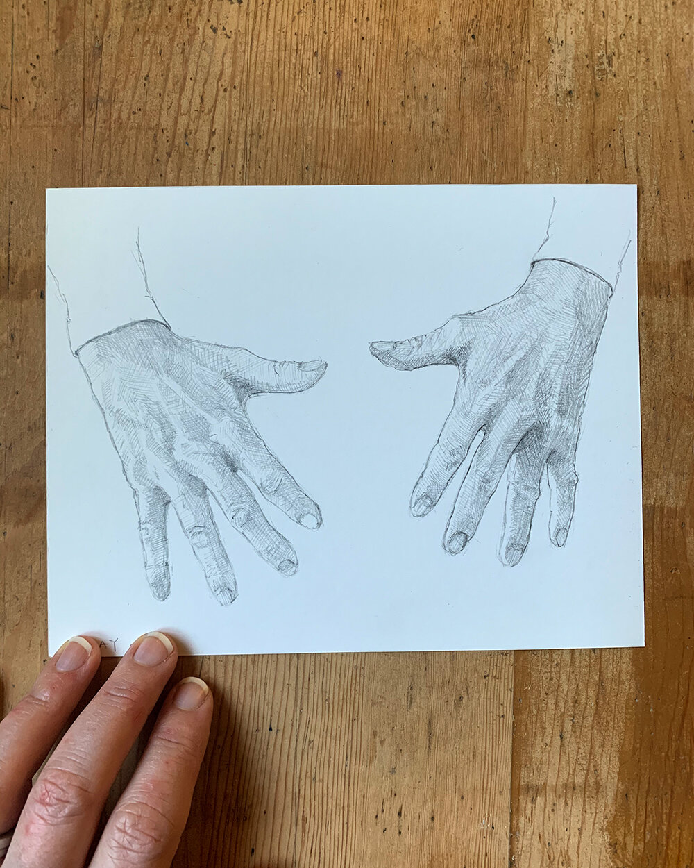 100 Hand Drawing Project — Elizabeth Floyd