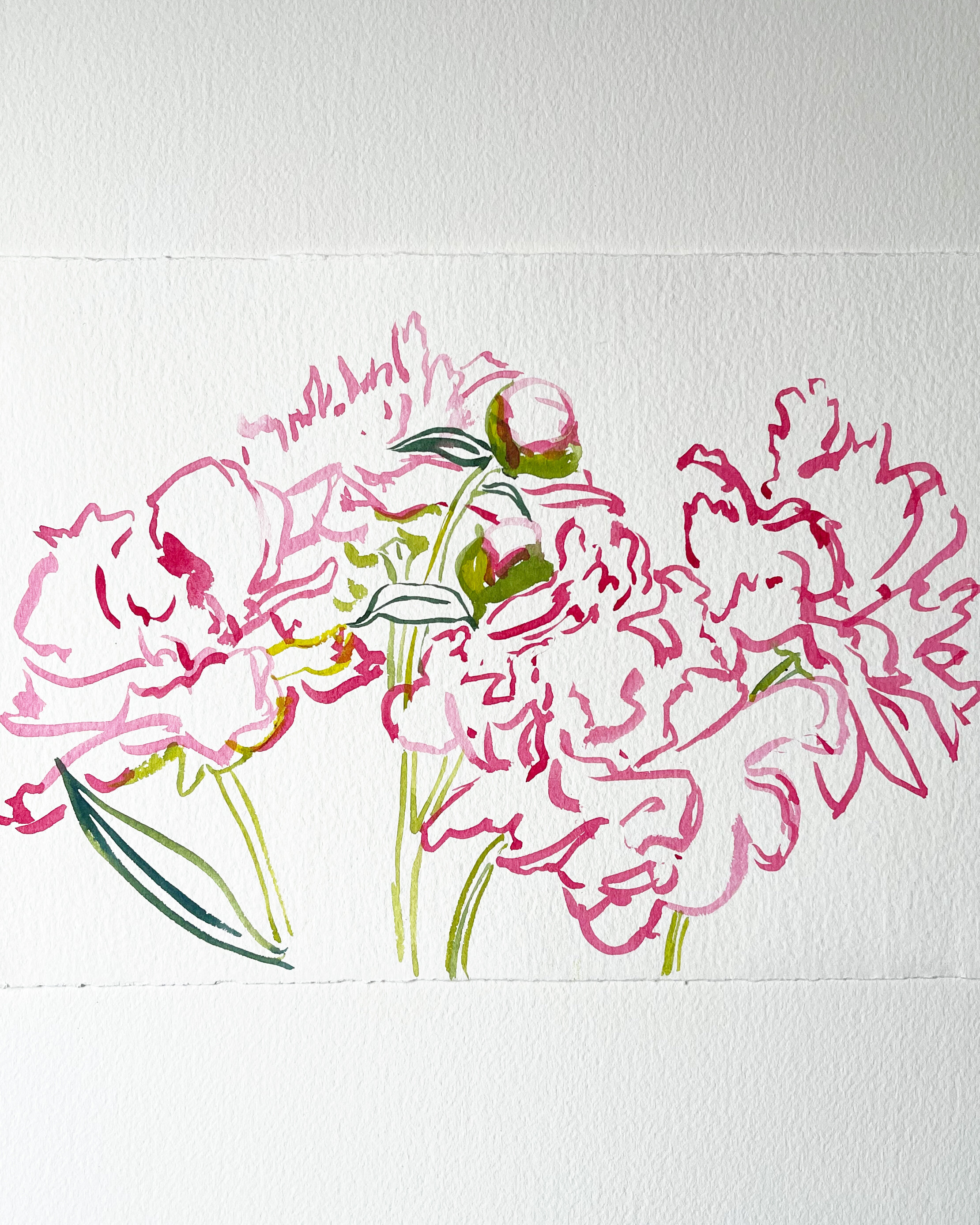 Peonies No. 3