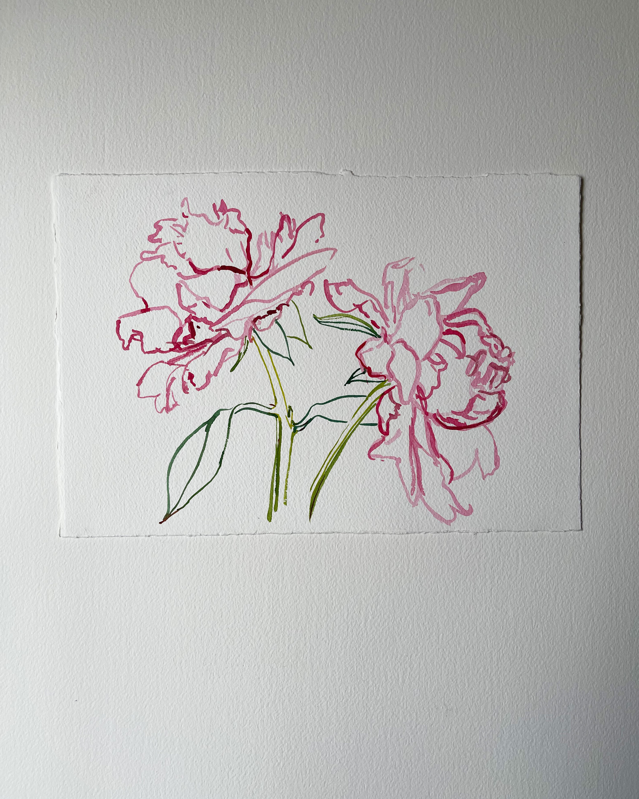 Peonies No. 4