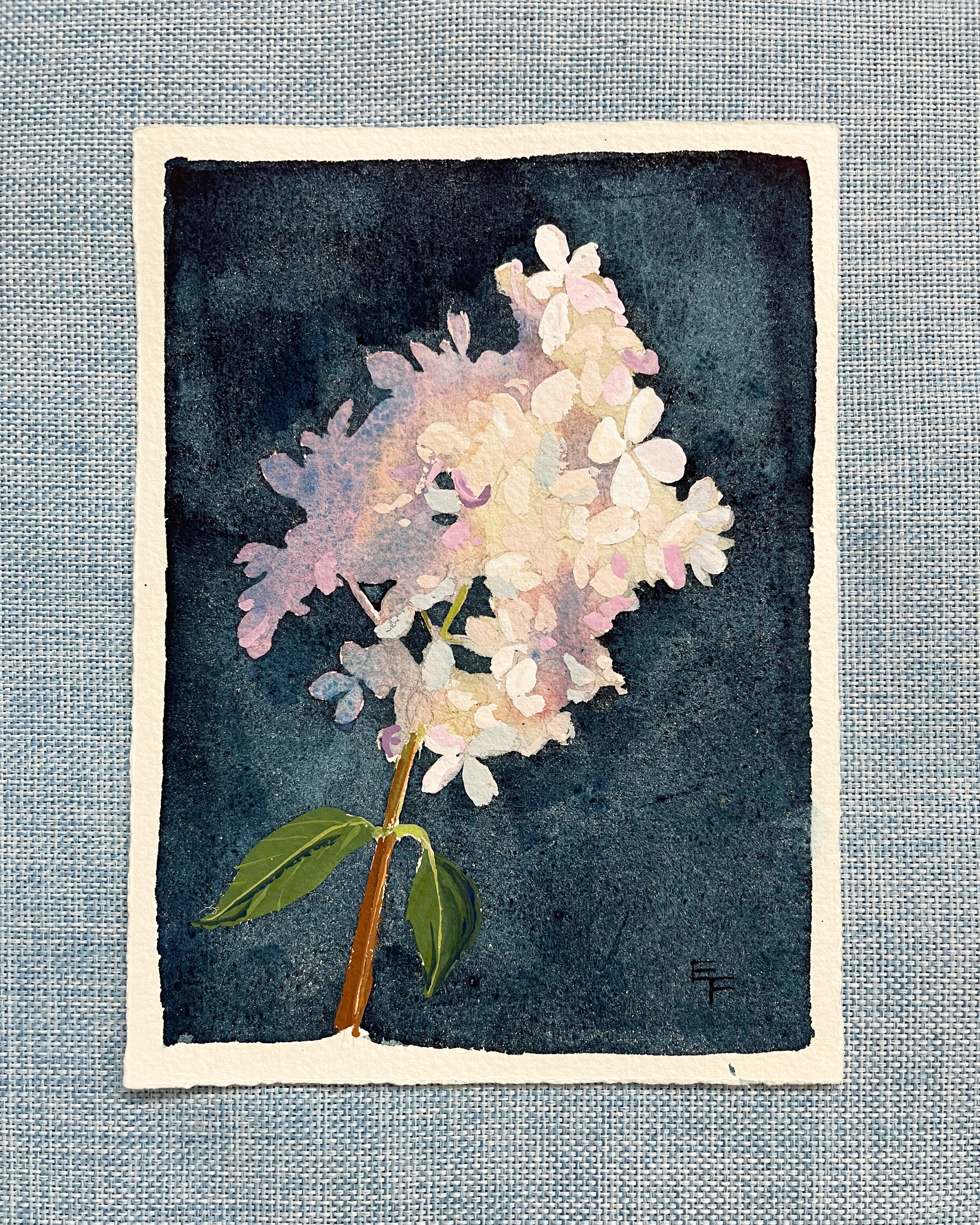 Hydrangea No. 8, watercolor and gouache, 7.5 x 5.5, unframed