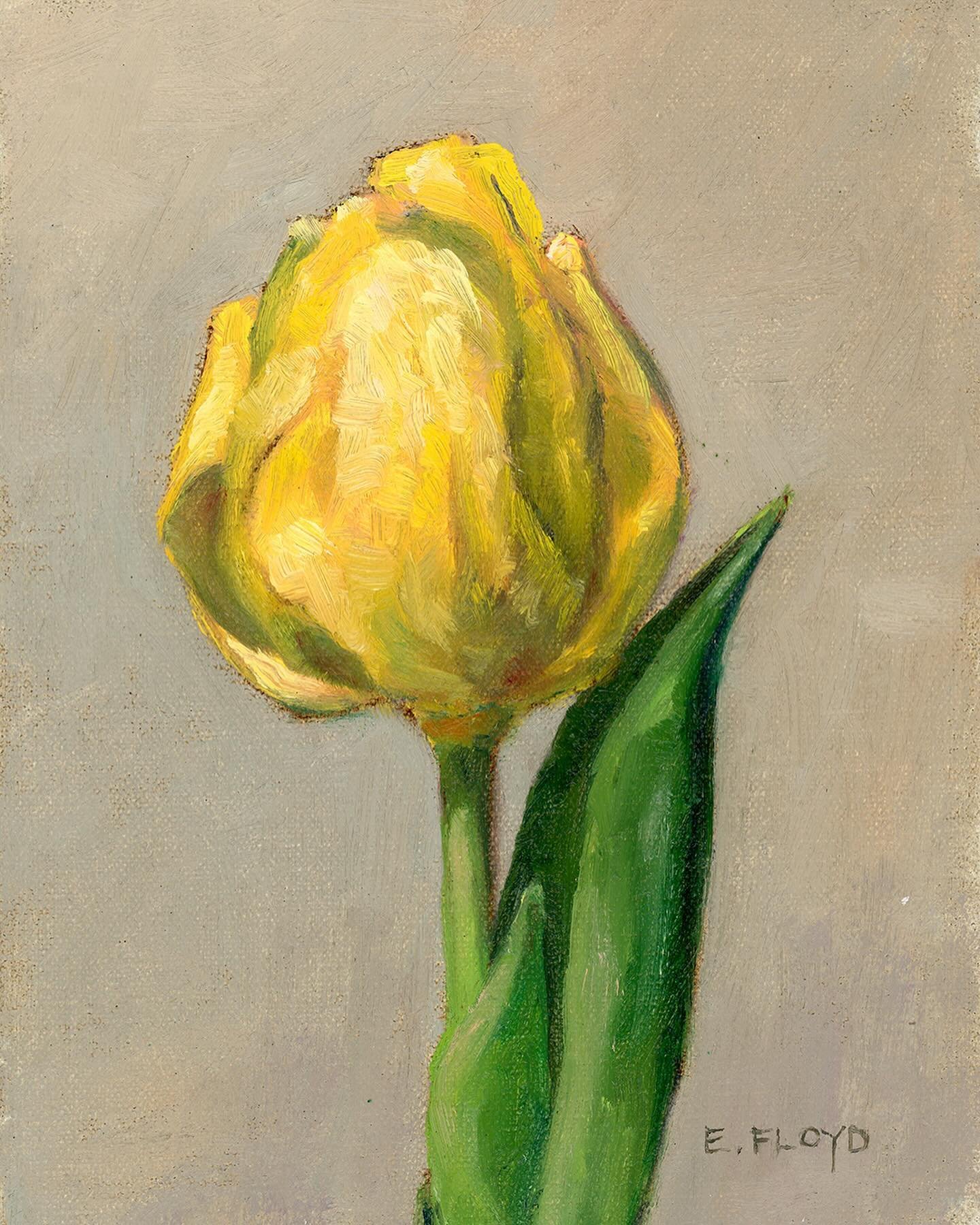 Tulip Season is one of my favorite times of the year. ⁠
⁠
Yellow Tulip, 8x6 inches, oil on linen panel, AVAILABLE on my website, link in profile⁠
⁠
#elizabethfloydart #tulippainting