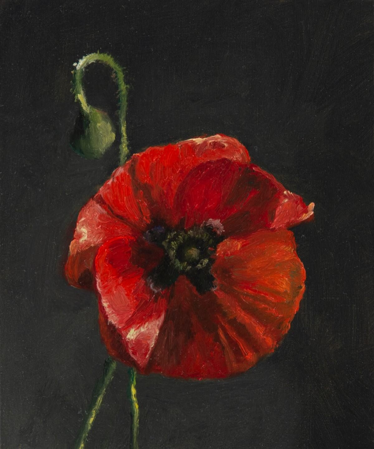 Happy Veterans Day! Thank you everyone who has served to keep our country safe. 🇺🇲⁠
.⁠
Flanders Poppy, (6x5 inches, oil on panel)⁠ sold⁠
⁠