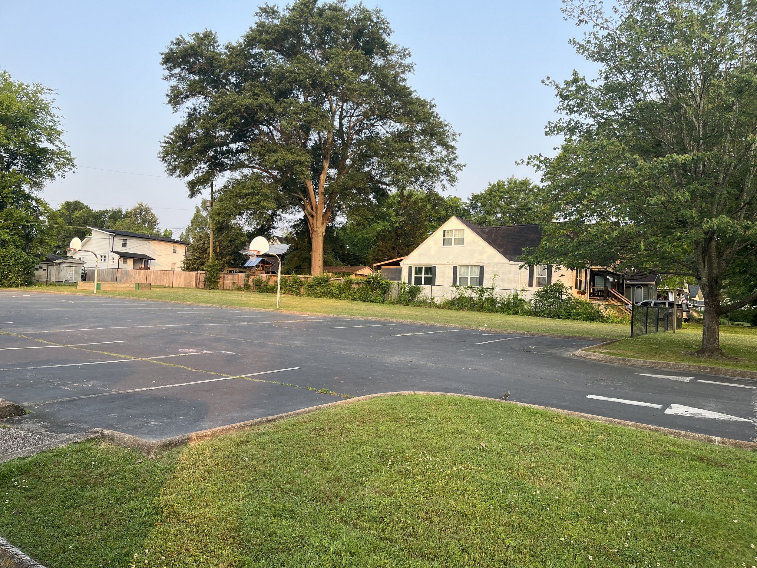 Summer 2023 Projects