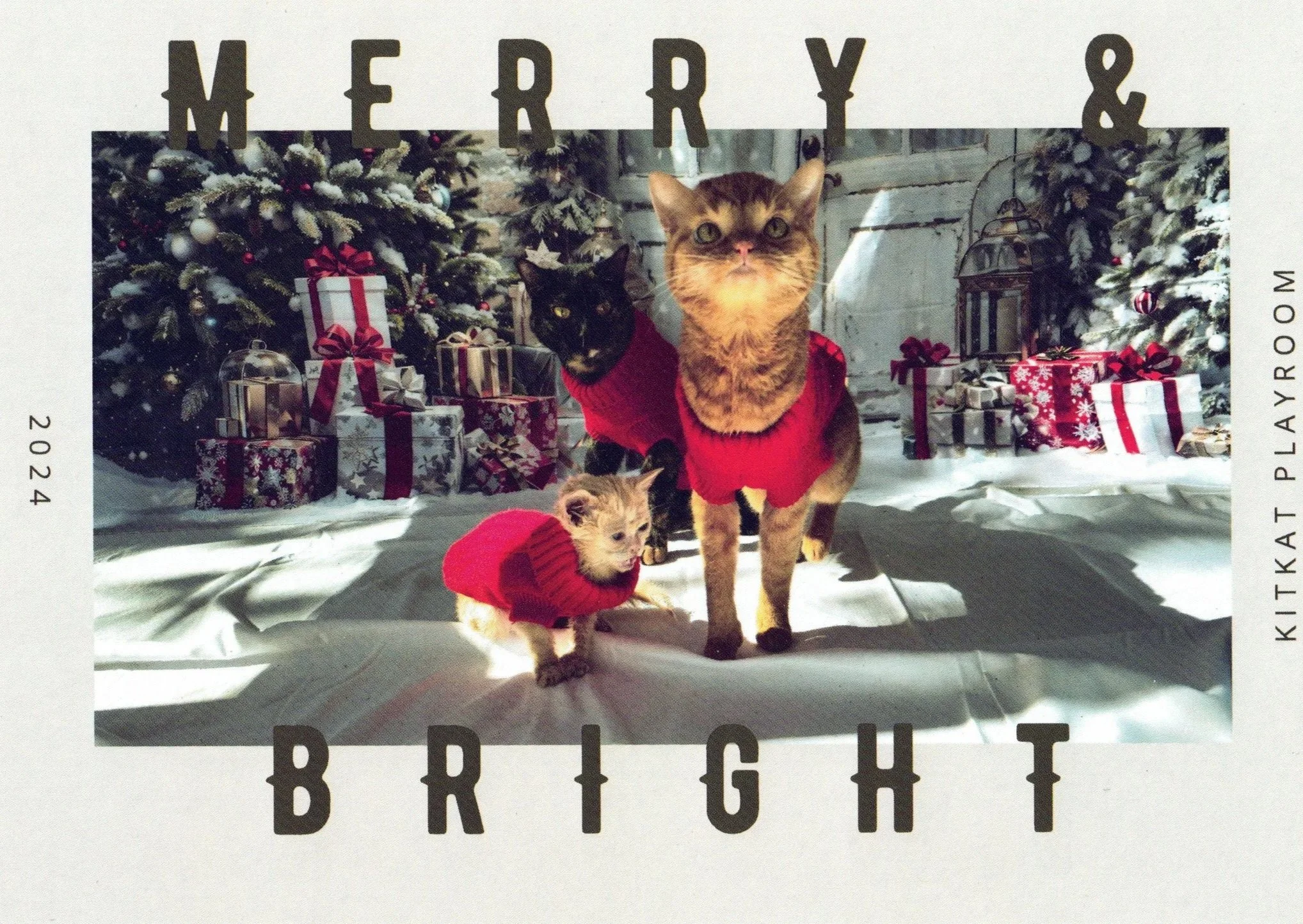 2024 KKP Holiday Card featuring Wyatt, Tate and Kenna