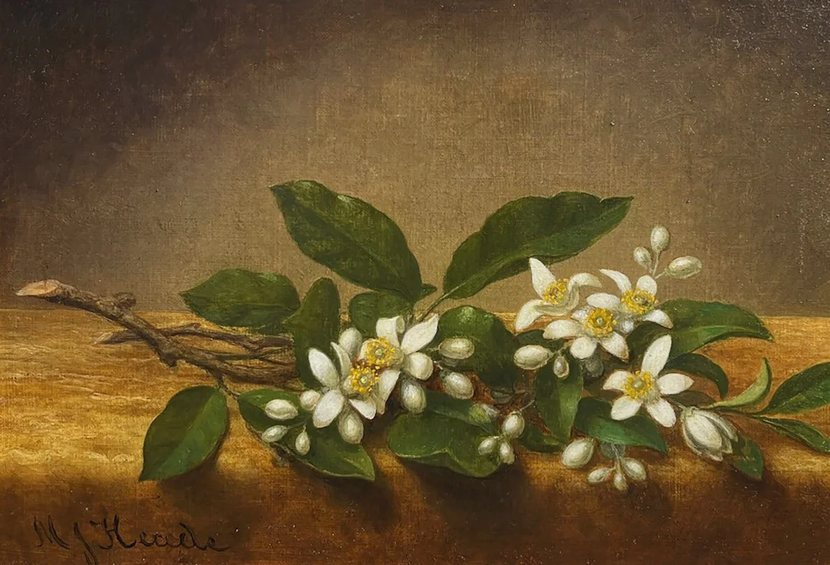 HAWTHORNE FINE ART LLC