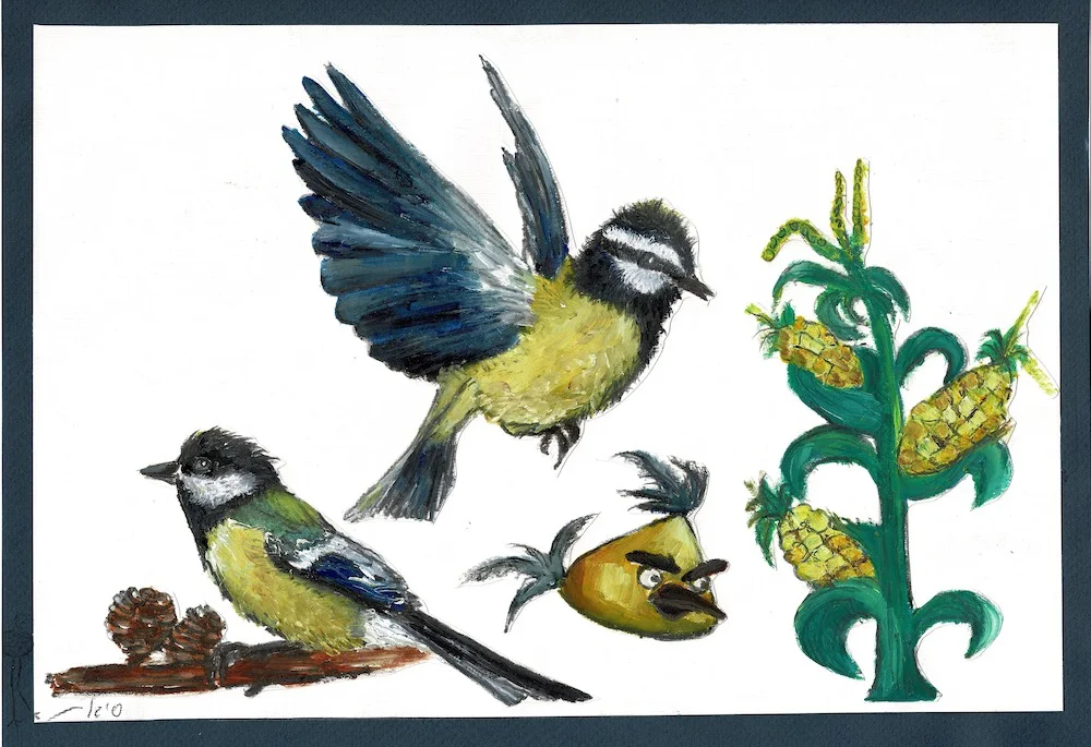 Great Tit • ירגזי
