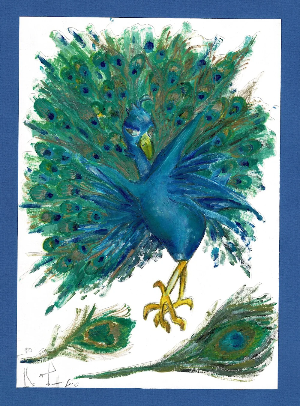 Indian Peafow • טווס הודי